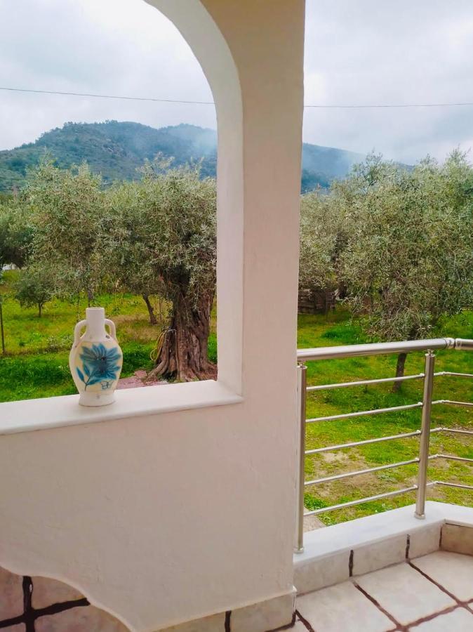 Villa Calypso Skala Rachoni  Dış mekan fotoğraf