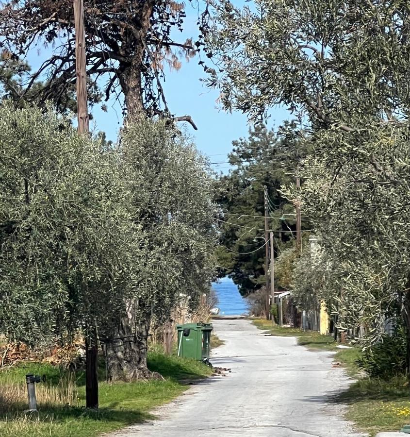Villa Calypso Skala Rachoni  Dış mekan fotoğraf